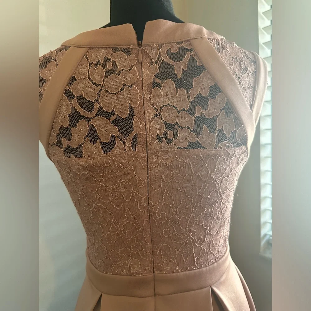 EUC‼️ Enfocus Studio Dusty Rose Sparkly Lace Dress. - Picture 3 of 8